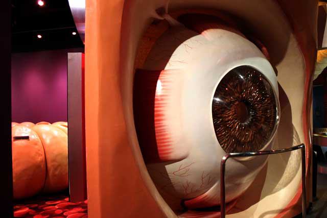 The Health Museum